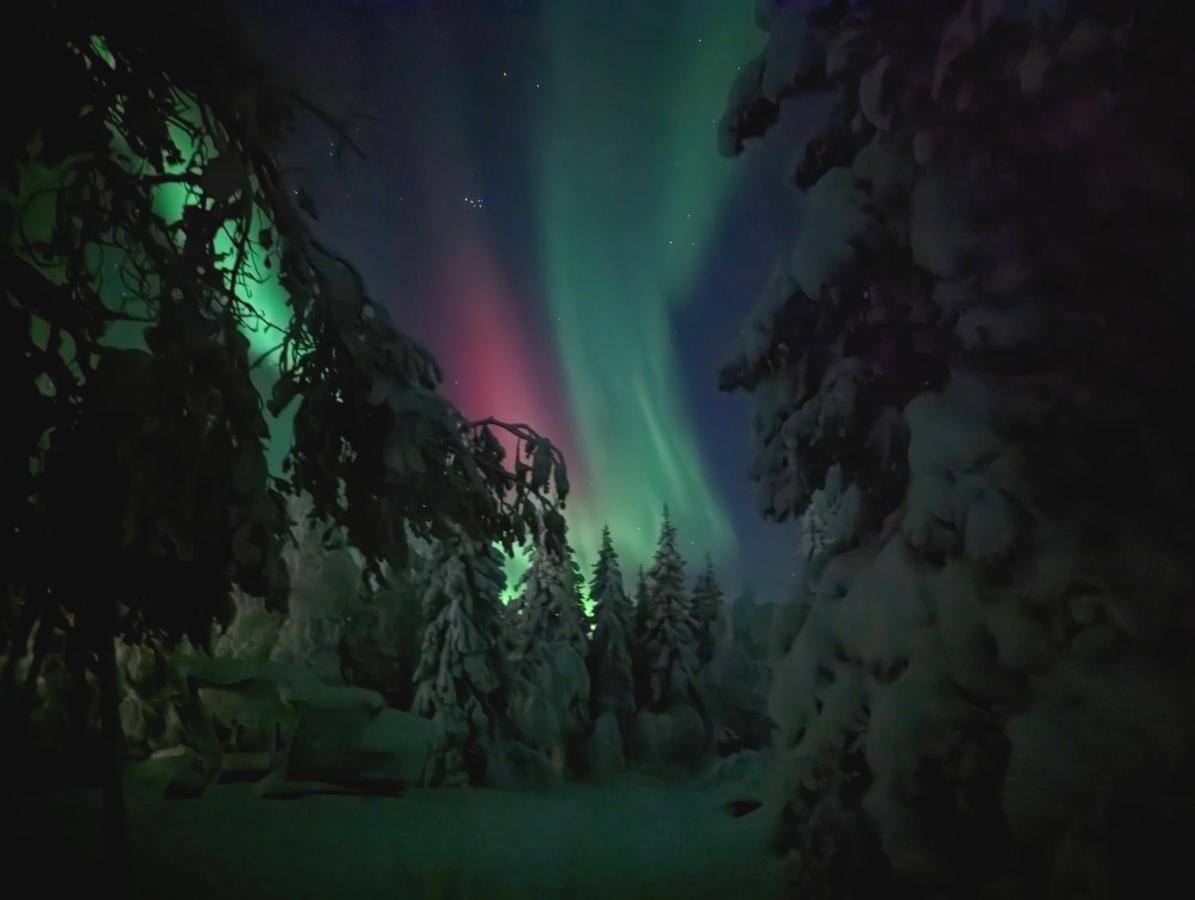 Lapland Snow Cabin Masugnsbyn Kültér fotó