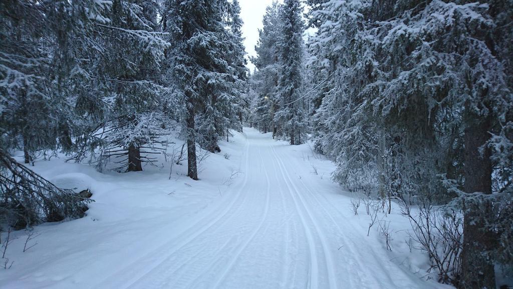 Lapland Snow Cabin Masugnsbyn Kültér fotó