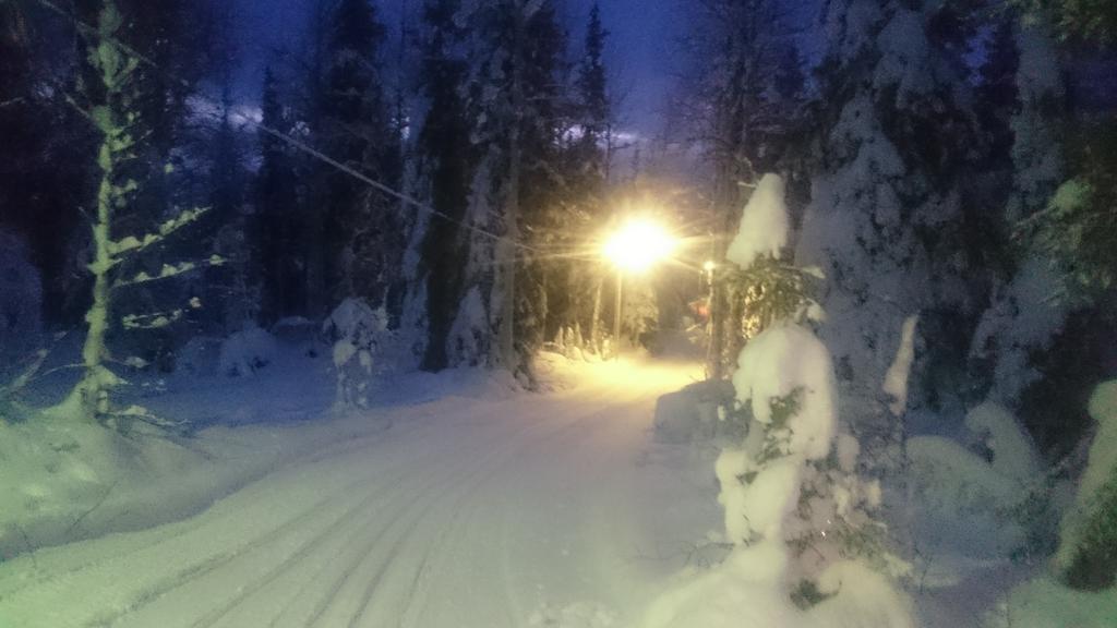 Lapland Snow Cabin Masugnsbyn Kültér fotó