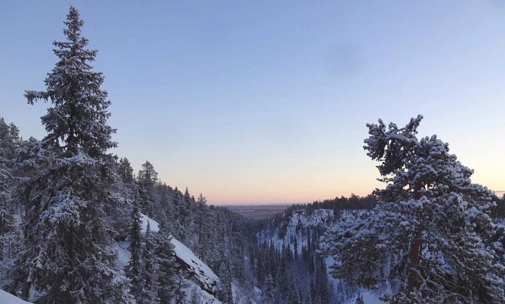 Lapland Snow Cabin Masugnsbyn Kültér fotó