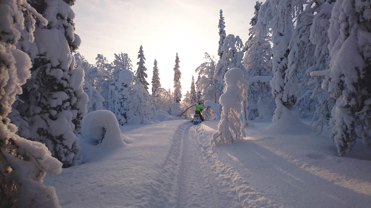 Lapland Snow Cabin Masugnsbyn Kültér fotó