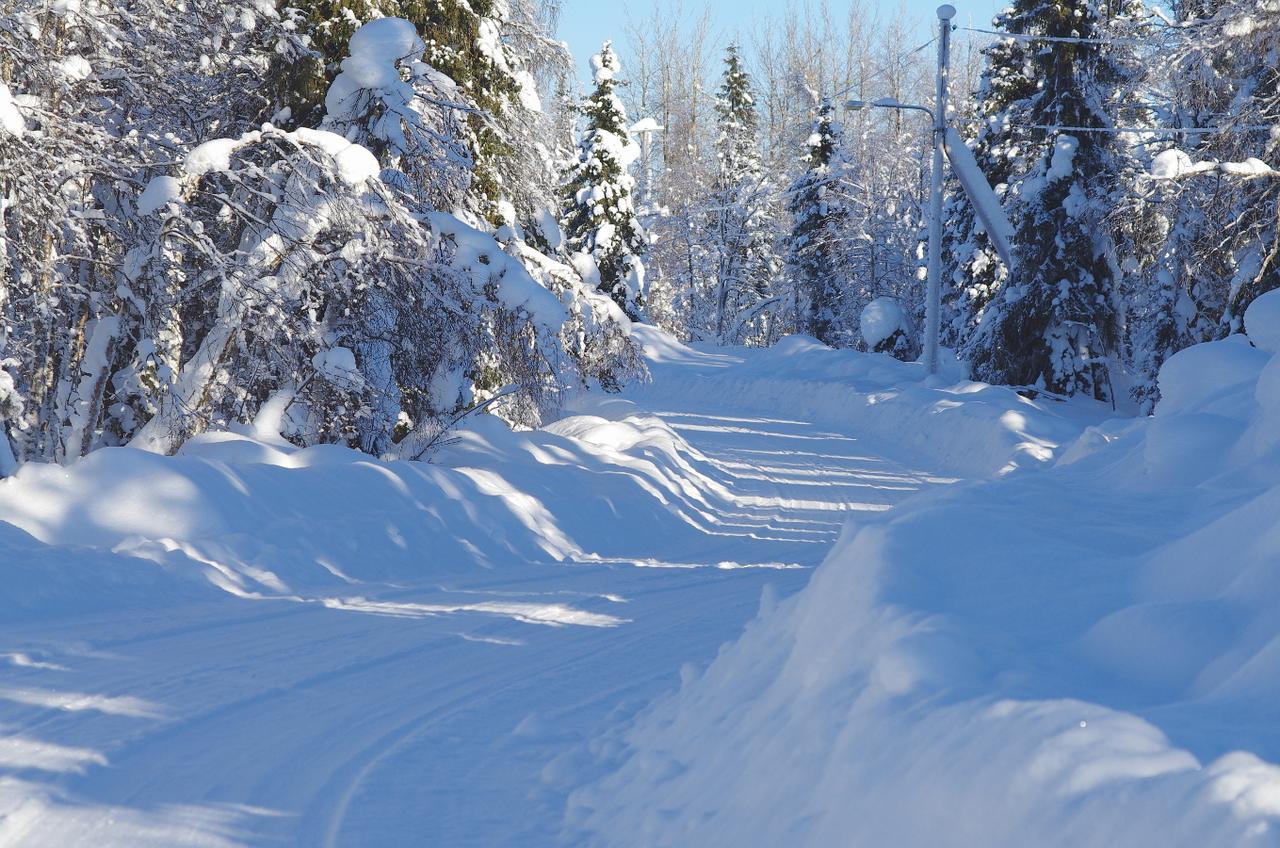 Lapland Snow Cabin Masugnsbyn Kültér fotó